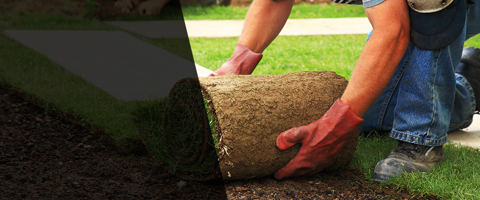 Decherd Landscapers
